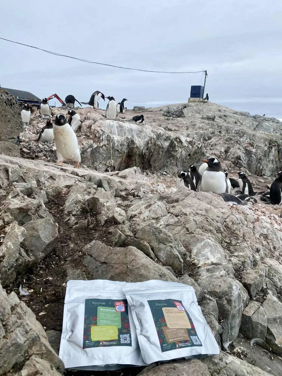 "The Taste of Home on the Frontline": How "Stanyslavsky Borsch" Feeds Ukrainian Defenders